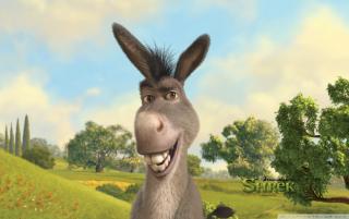 Obrazek: Donkey shrek the final chapter